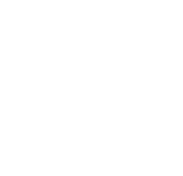 Logo MAI