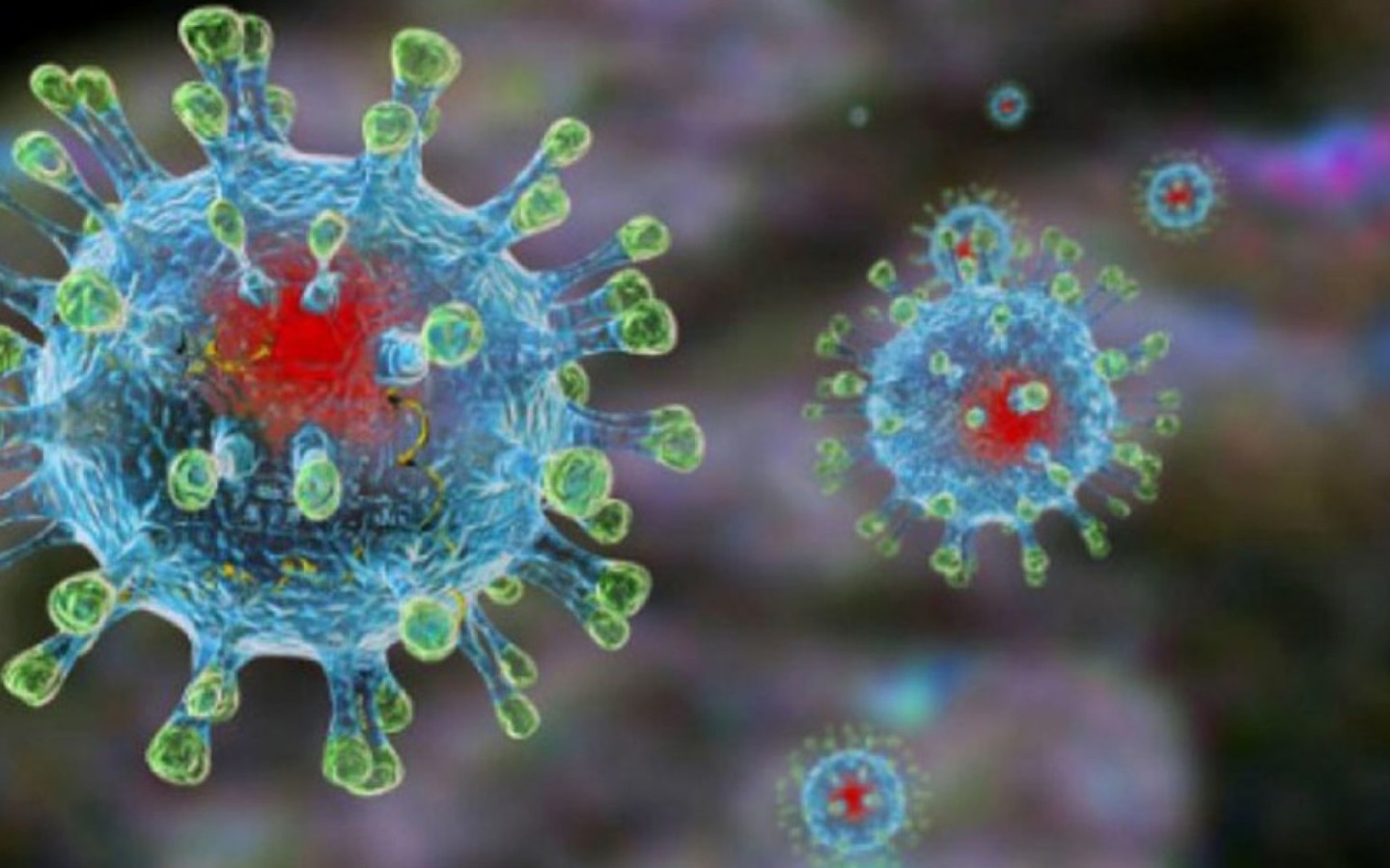 Measures to Prevent the Spread of a New Coronavirus Infection